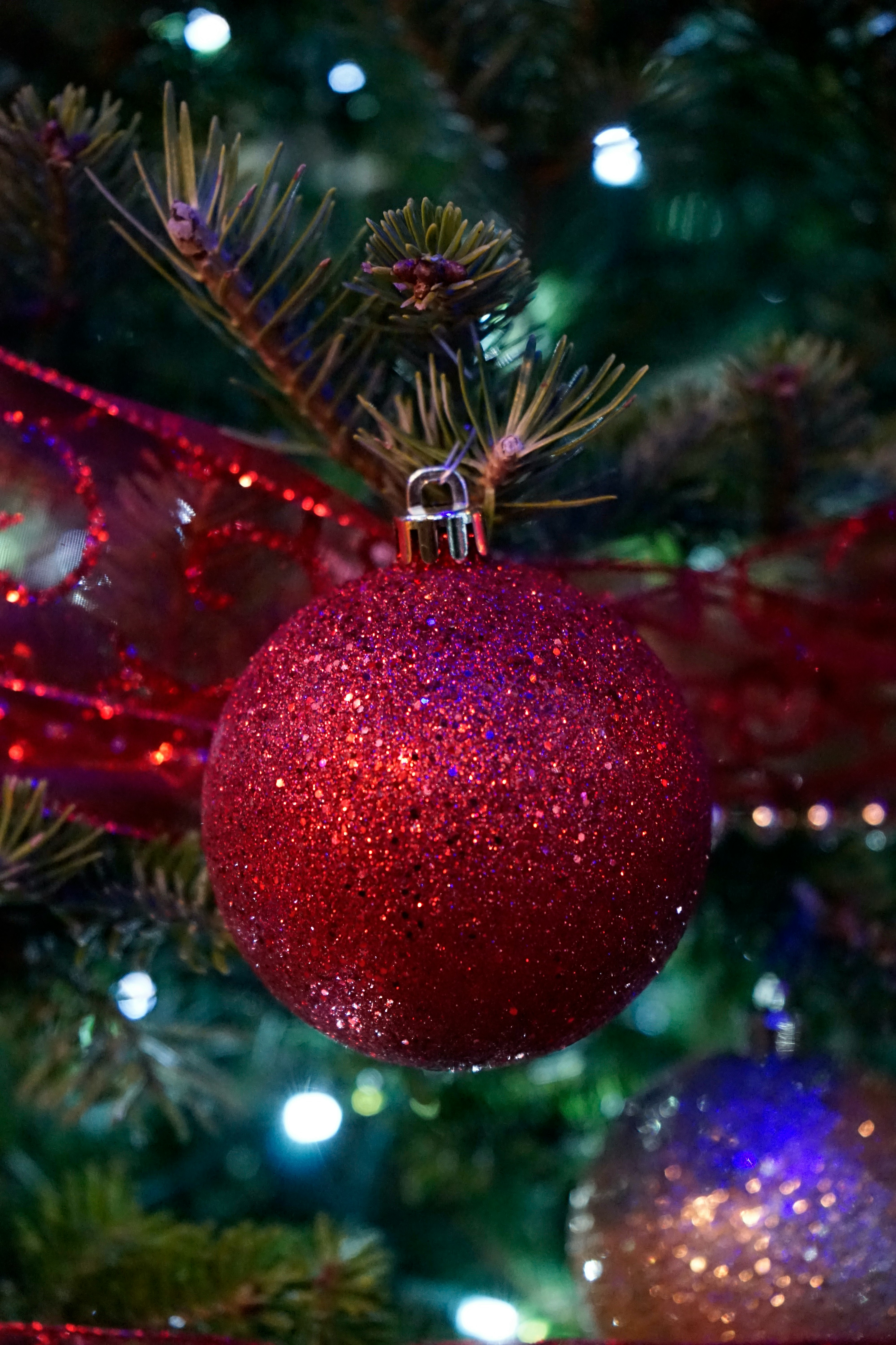 red bauble hanging on christmas tree
